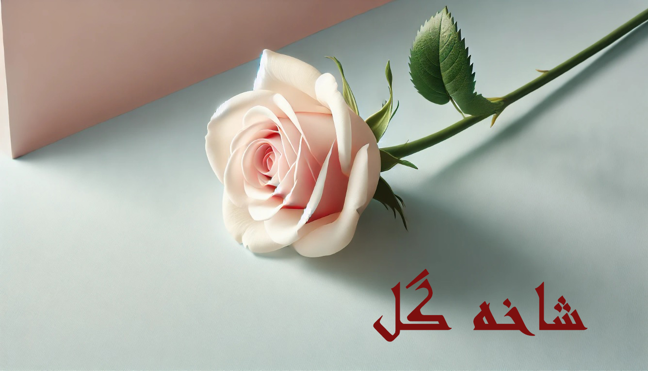 شاخه گل
